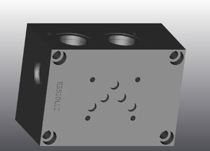 manifold a 4 vie