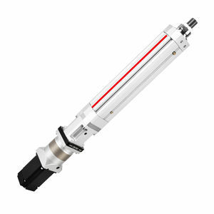 servo-cilindro elettrico 1