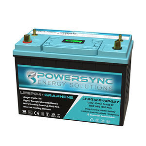 batteria LiFePO4 1