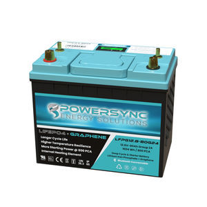 batteria LiFePO4 1