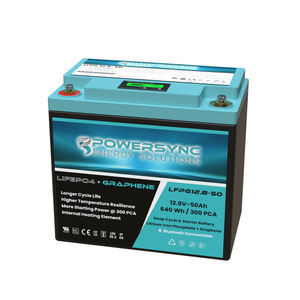 batteria LiFePO4 1
