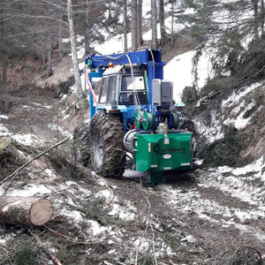 gru a cavo per esbosco in salita e discesa