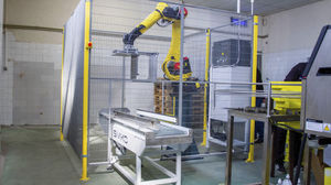 pallettizzatore robotizzato 1