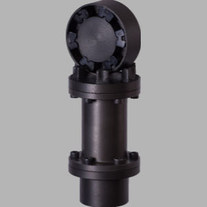 giunto flessibile in torsione