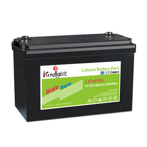 batteria LiFePO4