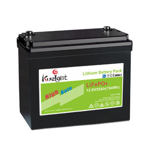 batteria LiFePO4