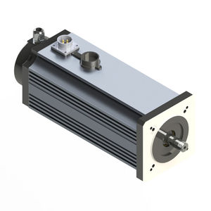 motore brushless