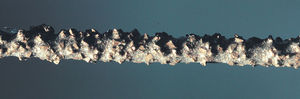filo da taglio diamantato
