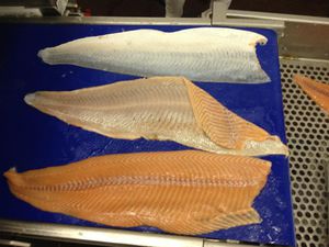 spellatrice per pesce automatica
