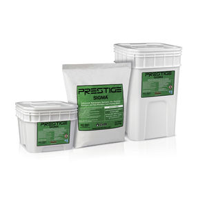 gesso per colata