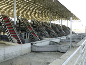 trasportatore elevabile