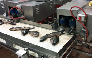 evisceratrice per pesce