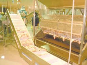macchina scagliatrice automatica