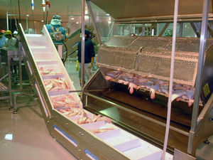 macchina scagliatrice per persici
