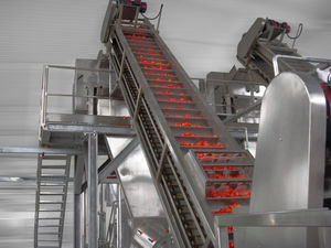 linea di trasformazione per pomodori