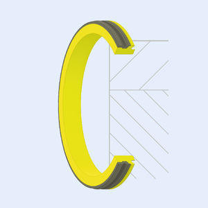 guarnizione PTFE