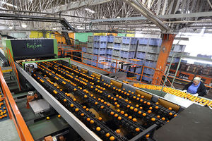 macchina di smistamento per l'industria agroalimentare