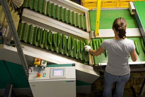 macchina di smistamento automatica / per frutta / per verdura / per l'industria agroalimentare