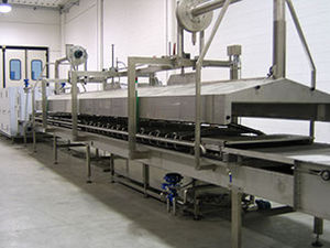 linea di produzione di pasta fresca