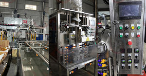 termoformatrice riempitrice sigillatrice di film plastico 1