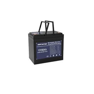 batteria LiFePO4