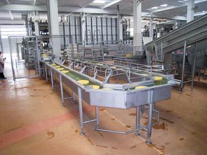 sistema di salamoia del formaggio