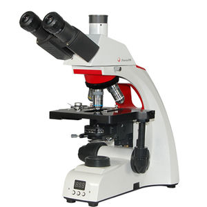 microscopio digitale