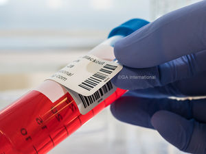 etichetta a trasferimento termico