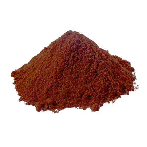 polvere magnetica