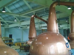distillatore 1