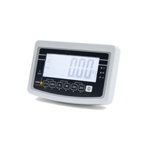 indicatore di peso digitale 1