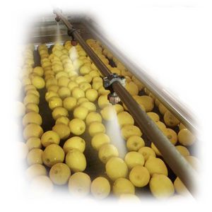 generatore di aerosol per frutta