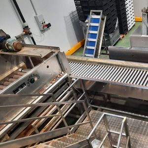 linea di trasformazione per patate