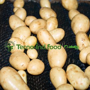 linea di trasformazione per patate