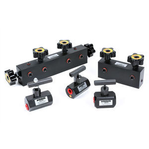 manifold a 4 vie