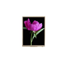 display TFT LCD