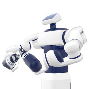 robot articolato 1