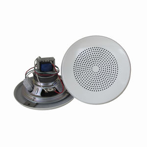 altoparlante da soffitto