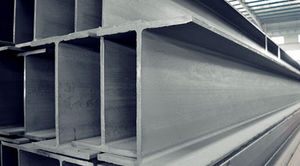 profilo in ferro