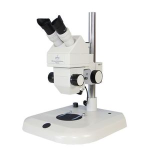 stereomicroscopio ottico