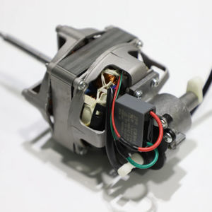motore AC 1