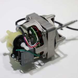 motore AC 1