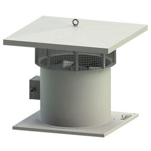 ventilatore da tetto
