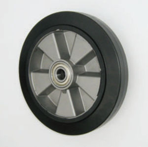 ruota con fascia