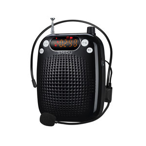 amplificatore audio