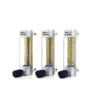 misuratore di portata a galleggiante magnetico 1