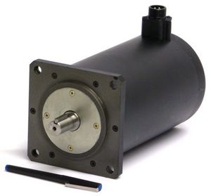 motore DC / passo-passo / 220V / a velocità bassa