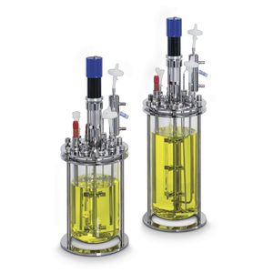 bioreattore di processo