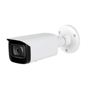 telecamera digitale 1