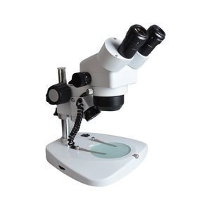 stereomicroscopio ottico